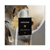 AMOUAGE Jubilation XXV Man EDP